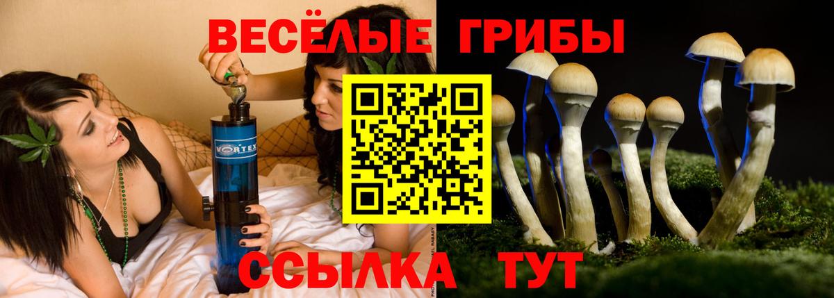 Ахтубинск  Псилоцибиновые грибы мухоморы  Вход с VPN 