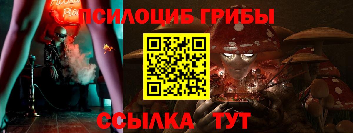 Псилоцибиновые грибы Magic Shrooms Ахтубинск